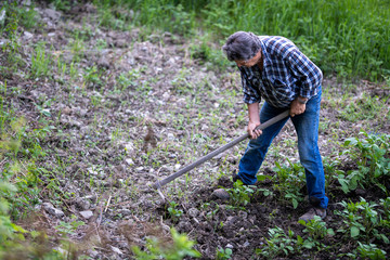 AGRICOLTORE CON ZAPPA