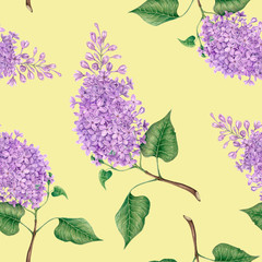 Lilac pattern in watercolor