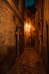 Fototapeta na wymiar disturbing alley illuminated by typically medieval features photographed at night
