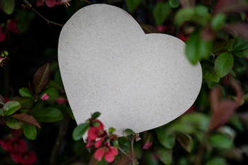 Paper heart on a background of leaves