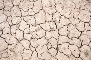 cracked earth texture