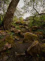 Rocky path in the slope