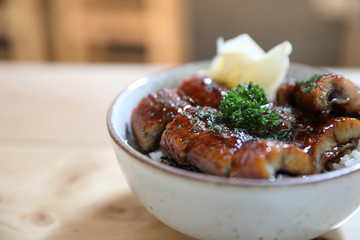 Japanese food unagi don , grilled eel on japanese rice on wood background