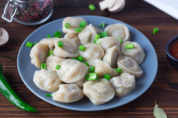 dumplings on a plate, decorated with green onions, close-up
