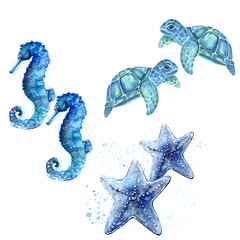 Aquarelle painting of turtle, sea star, seahorse sketch art pattern illustration © NATALIIA TOSUN