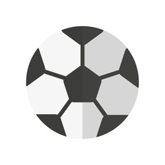 Fototapeta premium soccer ball isolated on white