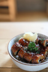 Japanese food unagi don , grilled eel on japanese rice on wood background