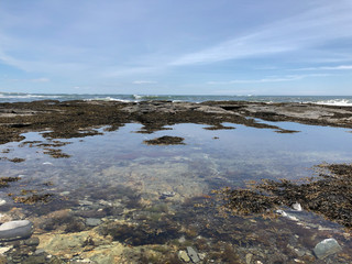 Tide pool along rocky shoreline backed by cresting waves