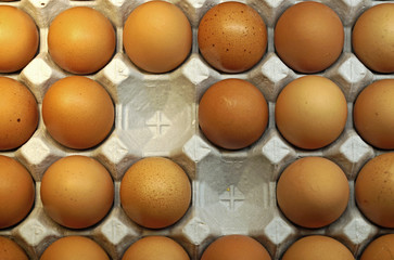 Chicken eggs in cardboard egg carton