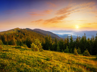 Naklejka na ściany i meble Idyllic panorama of misty mountains. Location place of Carpathians mountains, Ukraine.