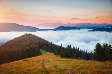 Fototapeta na wymiar Morning panorama of misty mountains. Location place of Carpathians mountains, Ukraine.