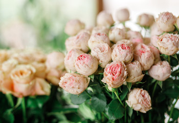 Fresh blooming flowers in a flower shop (pink roses)