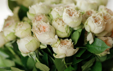 Fresh blooming flowers in a flower shop (roses, peonies)