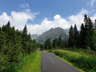 Fototapeta premium Path to the mountains after the rain