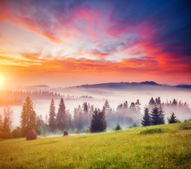 Obraz na płótnie Canvas Tranquil morning moment in alpine valley. Fantastic sunset scene.