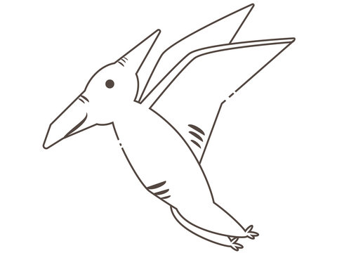 149 件の最適な プテラノドン 画像 ストック写真 ベクター Adobe Stock