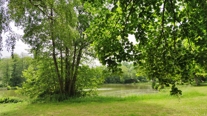 Fototapeta na wymiar L'étang de pêche de Parly dans l'Yonne