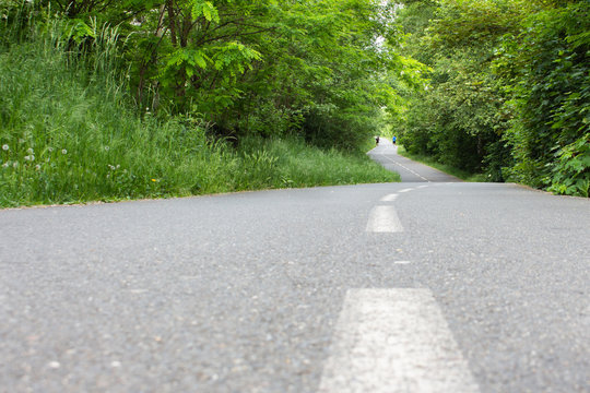 Curve bycicle road surrounded by trees. Copy space
