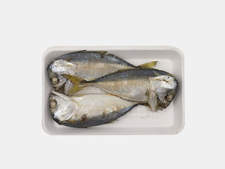Three mackerel in a foam tray Isolated on white background