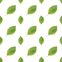 green leaves seamless pattern on white background