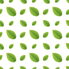 green leaves seamless pattern on white background