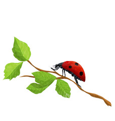 Watercolor ladybug