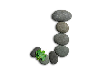 Alphabet letters made of beach stones or ocean stones with Sempervivum isolated on white background.Concept about ECO alphabet With clipping path.