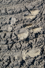 Surfaced concrete surface. Folds, impact marks, defects. Color Foggy Gray. Vertical view.