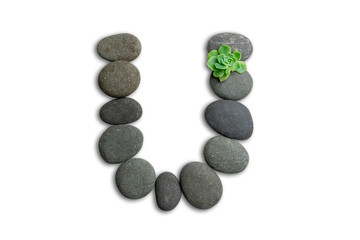 Alphabet letters made of beach stones or ocean stones with Sempervivum isolated on white background.Concept about ECO alphabet With clipping path.