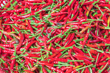 Heap of organic homegrown red chilies at farmer market in Vietnam