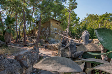 Territory with trees and paths in an abandoned hotel