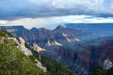 Rain shower over the North Rim of the Grand Canyon