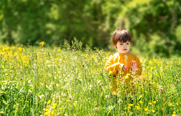 Little toddler boy enjoying being outdoors in green meadow with yellow blooming flowers. At one with nature. Childhood at summer