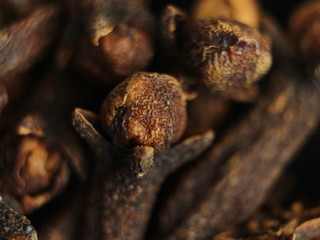 Clove spices aromas flavors natural plant food kitchen