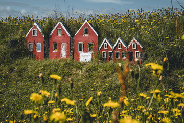 Trio of little red elf houses Hulduf lk with turf roofs in Iceland. Green grass with yellow flowers.
