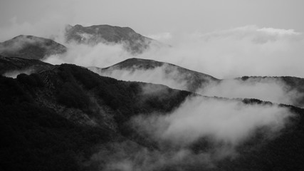 Beautiful misty mountain range black & white