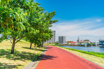 Obraz premium 東京 汐入公園 隅田川沿いの遊歩道