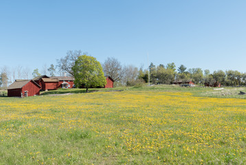 A typically red cottage in a beautiful spring morning