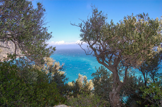Turquoise sea view through trees in Varigotti, Liguria, Italy