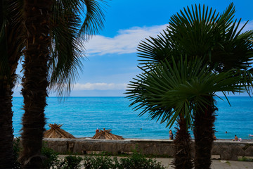 Beautiful beach with palm trees.