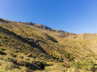 walk through the Sierra Nevada mountains 