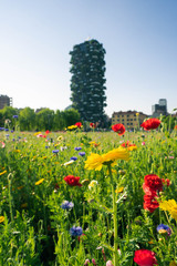 Primavera a Milano - Bosco Verticale