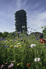 Primavera a Milano - Bosco Verticale