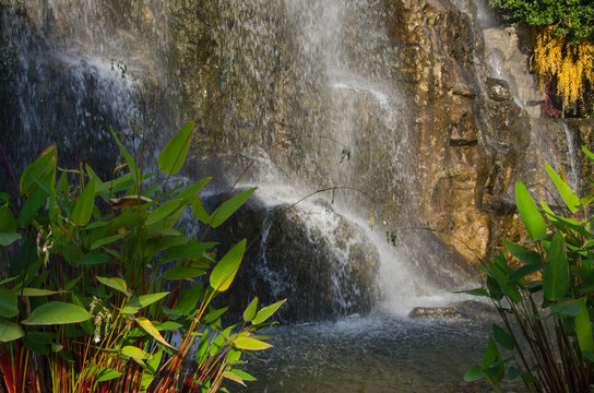 Green aquatic plants and white waterfall