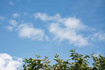 青空