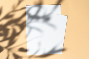 Creative photo with floral shadow of white businesscard on beige background