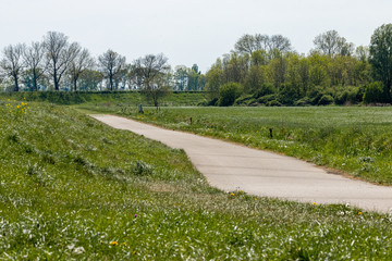 Island of Dordrecht 