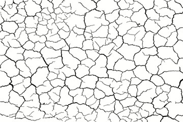 lots lines of crack and broken ground for abstract background on white background