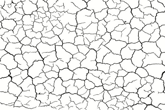 lots lines of crack and broken ground for abstract background on white background