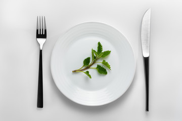 Table setting with a white plate filled with green sprig of mint next to cutleries on a white background. To represent a concept of pharmaceutical addiction, healthy nutrition, pharmaceutical industry